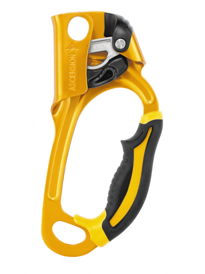 Petzl Ascension